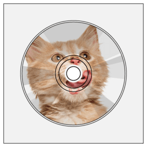 monotype monotypepressing cd audio dvd disc on body print cmyk silver base