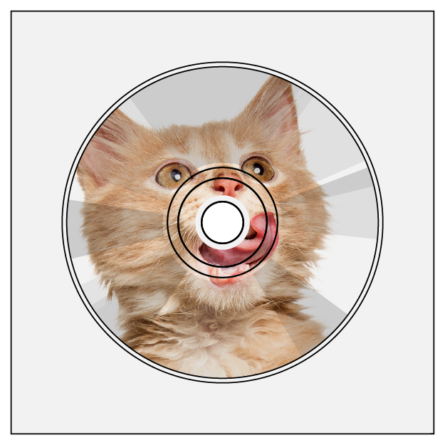 monotype monotypepressing cd audio dvd disc on body print cmyk silver base