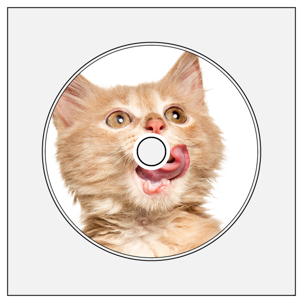 monotype monotypepressing cd audio dvd disc on body print cmyk white base