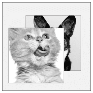 monotype monotypepressing booklet black