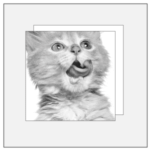 monotype monotypepressing booklet 1 black 1 no print