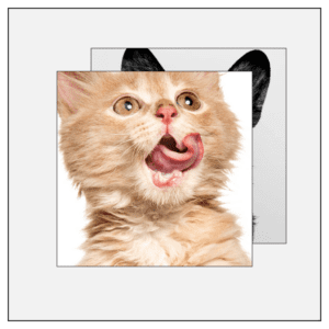 monotype monotypepressing booklet cmyk black