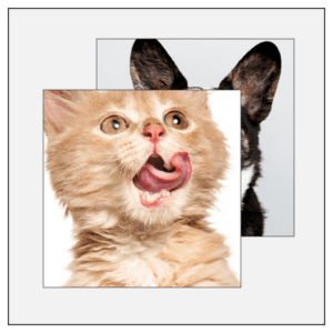 monotype monotypepressing booklet cmyk cmyk