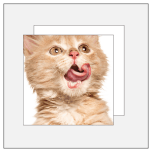 monotype monotypepressing booklet 1 cmyk 1 no print