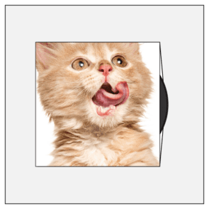 monotype monotypepressing vinyl innersleeve innerbag colour printed