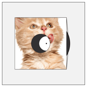 monotype monotypepressing vinyl innersleeve innerbag discobag cmyk