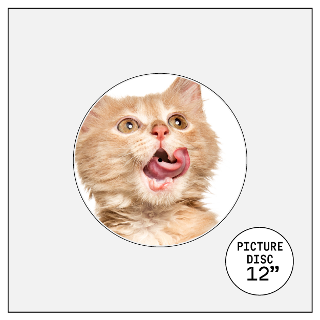 monotypepressing vinyl template picture disc