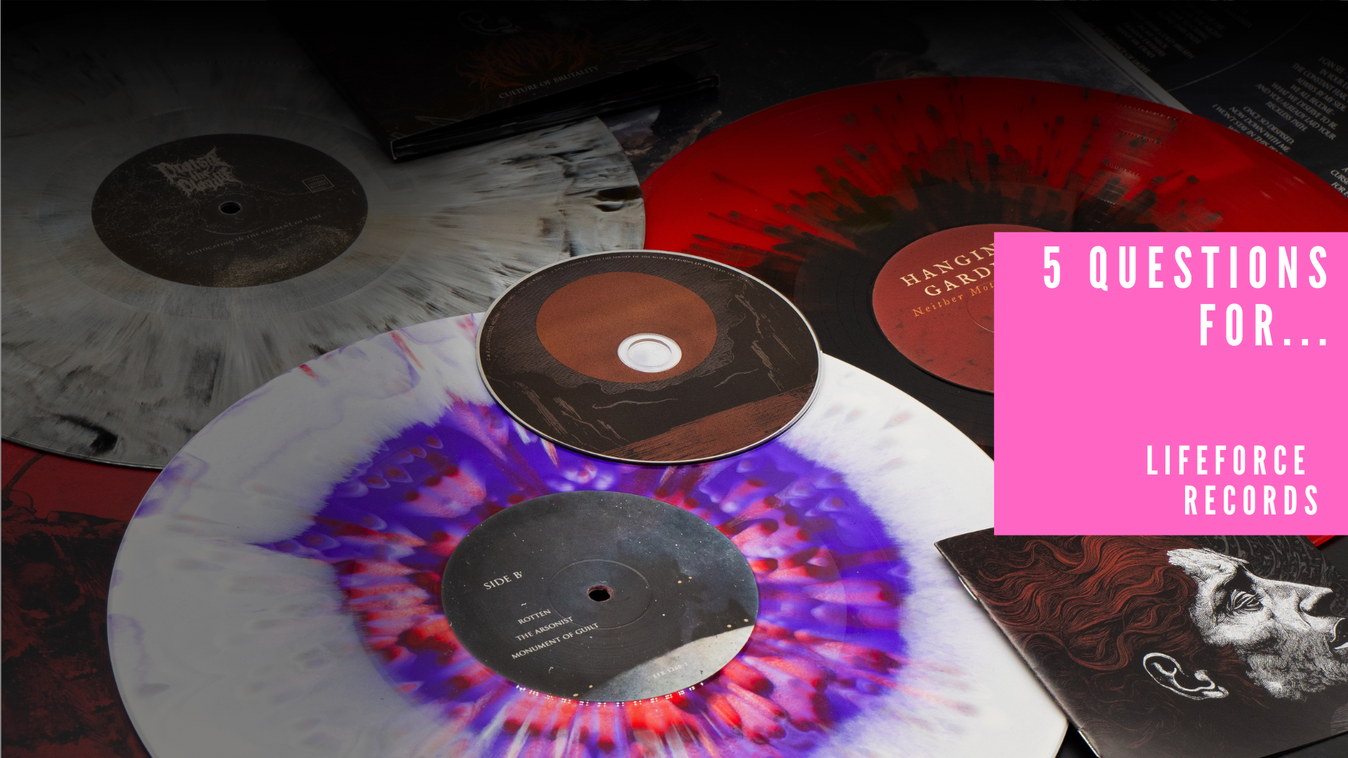 5 Questions for … Lifeforce Records